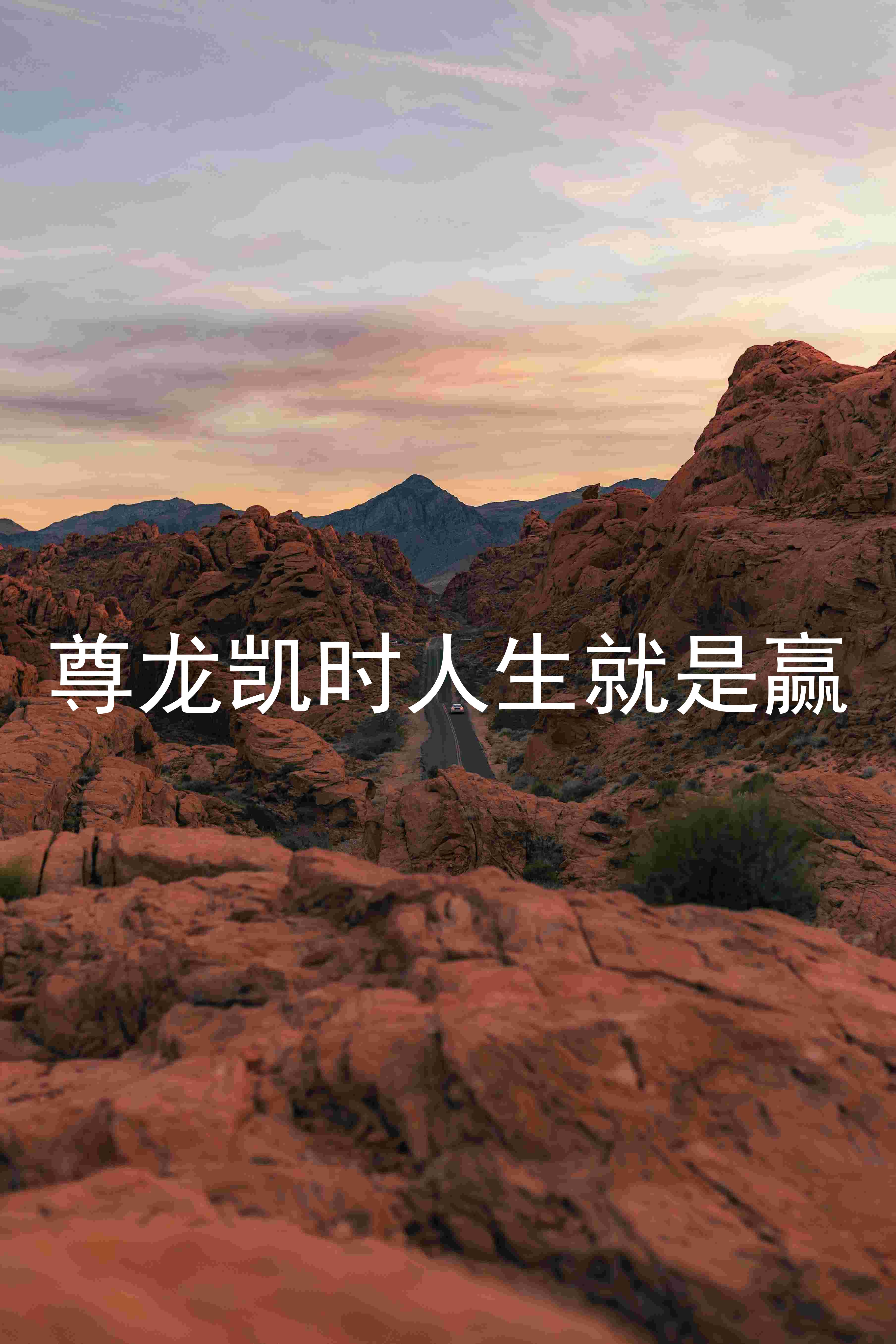 尊龙凯时人生就是赢