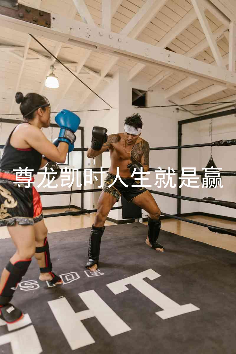 尊龙凯时人生就是赢