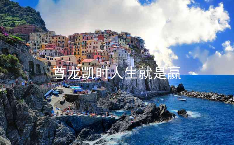 尊龙凯时人生就是赢