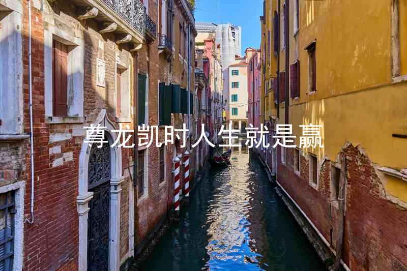 尊龙凯时人生就是赢
